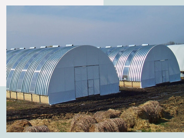 Сельскохозяйственные здания в Дмитрах