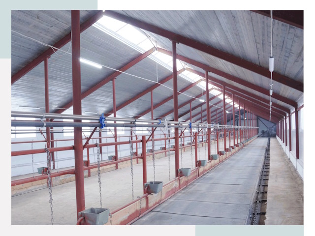 Строительство коровников в Дмитрах от 643 руб.