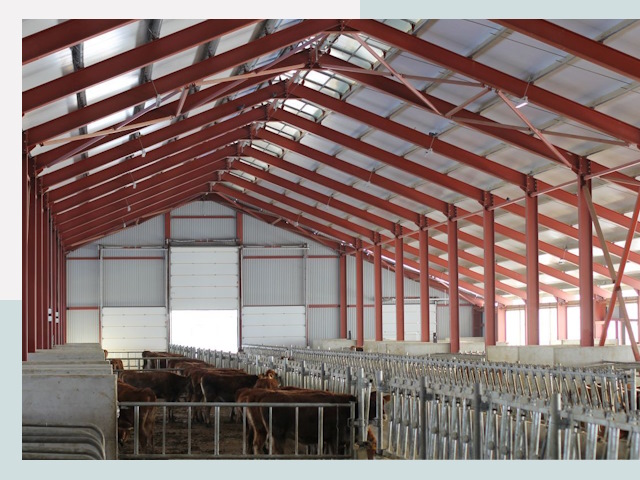 Строительство коровников в Дмитрах