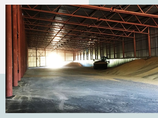 Строительство зернохранилищ в Дмитрах