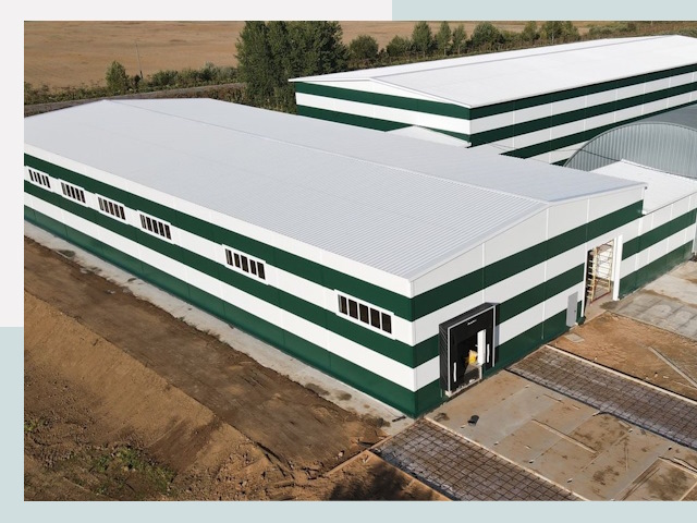 Строительство овощехранилищ в Дмитрах