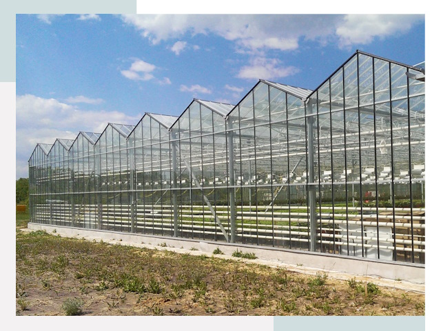 Строительство теплиц в Дмитров от 643 руб. за м²
