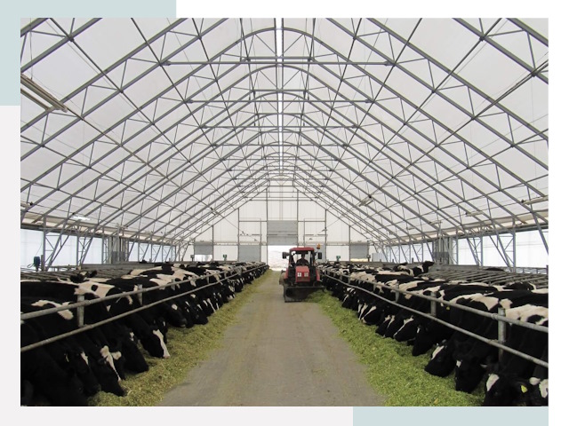 Тентовые коровники в Дмитрах от 643 руб. - Надежно и доступно