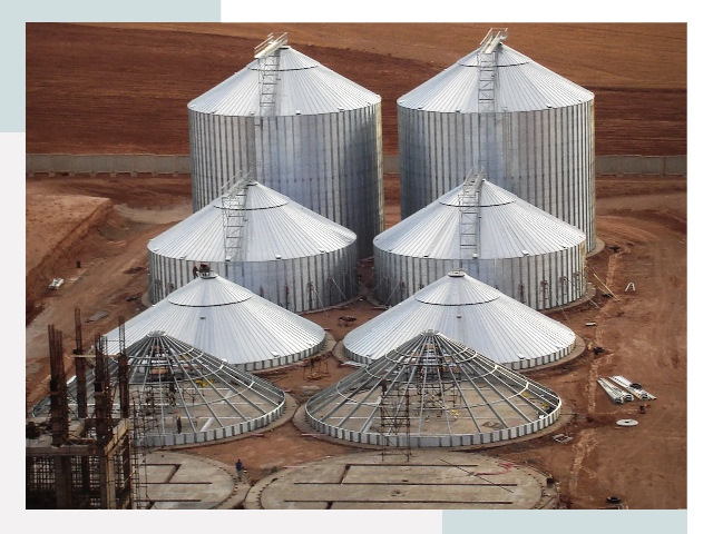 Строительство зерновых силосов в Дмитрах